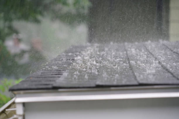 Best Roof Maintenance and Cleaning  in Hope Valley, RI